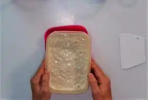 Remove the poolish from the fridge after 16-24 hours and let it aside at room temperature for 1 hour.