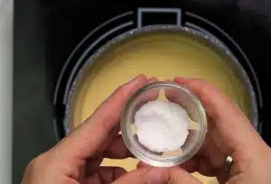 Once everything is mixed, add salt and black pepper to taste and mixed well for Texas Roadhouse Bacon Cheese Fries Recipe