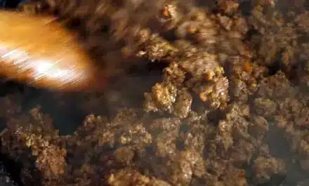 Alamo Cafe Queso Recipe