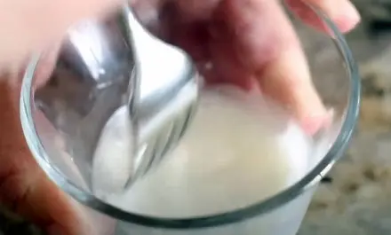 Alamo Cafe Queso Recipe