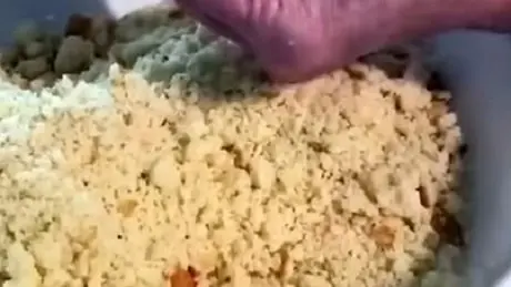 Brenda Gantt Cornbread Dressing Recipe