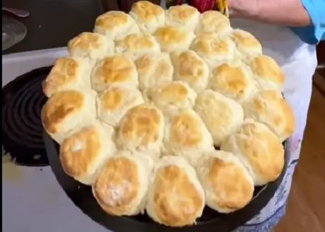 Brenda Gantt White Lily Biscuit Recipe